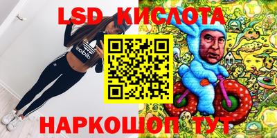 прущие грибы Комсомольск-на-Амуре