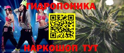 прущие грибы Комсомольск-на-Амуре