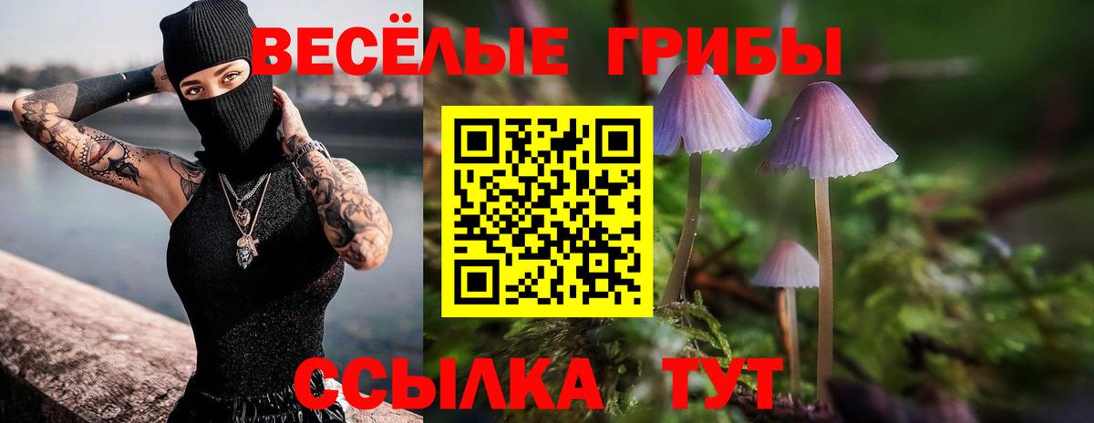 Тара  Галлюциногенные грибы Magic Shrooms  где найти наркотики  Вход с VPN 